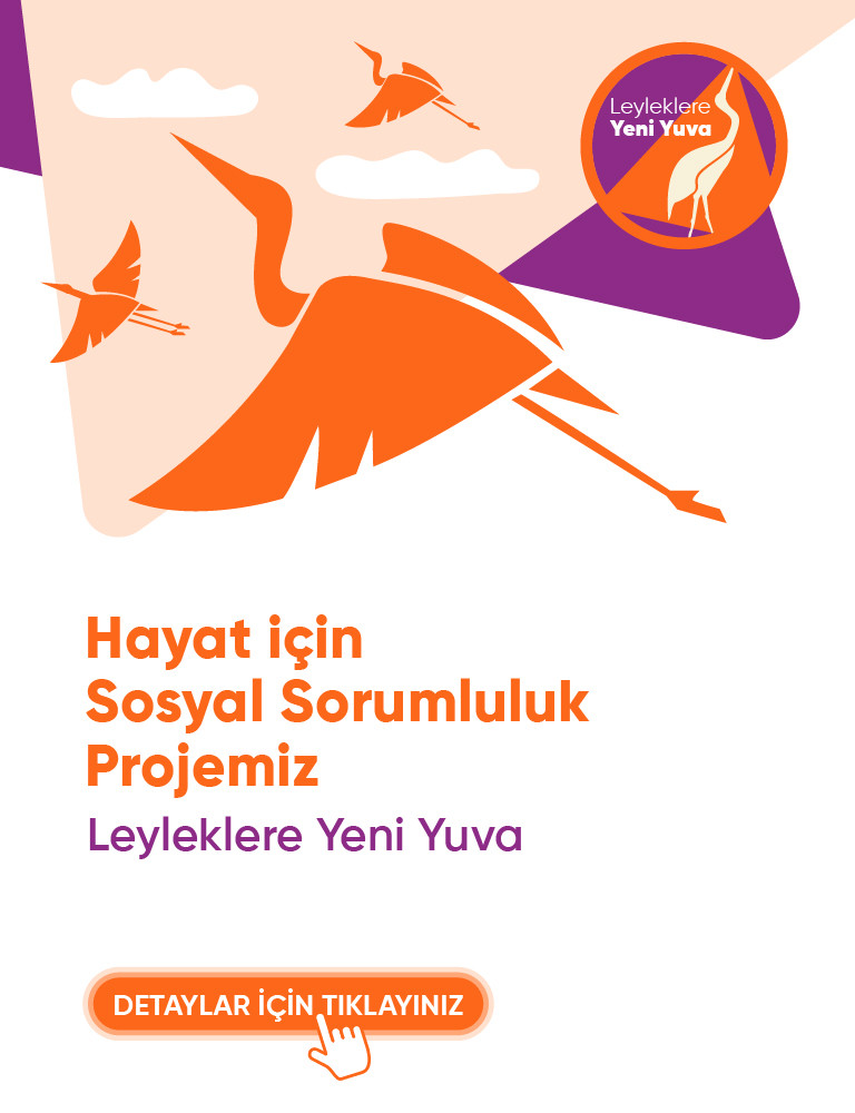 A New Home for Storks